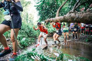 BIB: 
                            <button type="button" onclick="openModal(25516515)" class="btn btn-primary btn-sm float-right btn-popup" data-toggle="modal" data-target=".modal-high-quality">
                        <i class="fas fa-shopping-cart"></i> Add to Cart
                    </button>
                                            <button type="button" onclick="isThisMe(25516515, true)" class="btn btn-success btn-sm float-right btn-popup btn-isme hidden" data-toggle="tooltip" data-placement="bottom" title="นี่คือรูปของคุณใช่ไหม คลิกที่นี่เพื่อเอาเข้าอัลบั้ม">
                        <i class="fas fa-plus"></i> Add to album
                    </button>
                    <button type="button" onclick="isThisMe(25516515, false)" class="btn btn-warning btn-sm float-right btn-popup btn-isnotme hidden">
                        <i class="fas fa-ban"></i> Remove from album
                    </button>